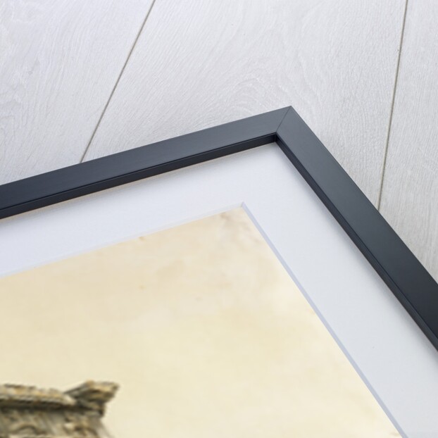 View of the East End of the Parthenon, Athens by Giovanni Battista Lusieri